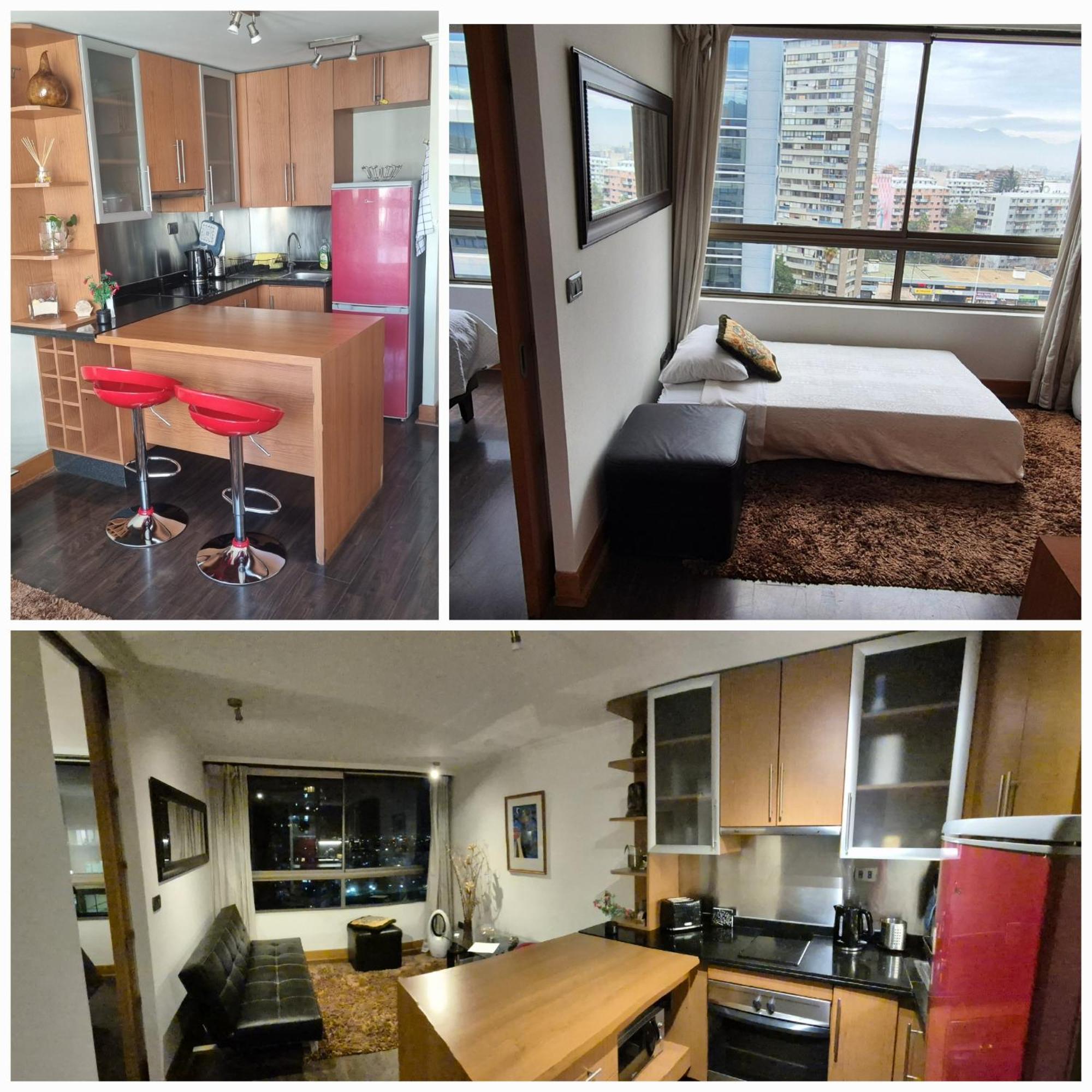 Providencia A Pasos Del Metro Pedro De Valdivia Apartment Santiago Ngoại thất bức ảnh